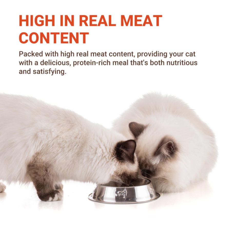 JJANG Eco-choice Pouch Cat Wet Food Real Meat Fish